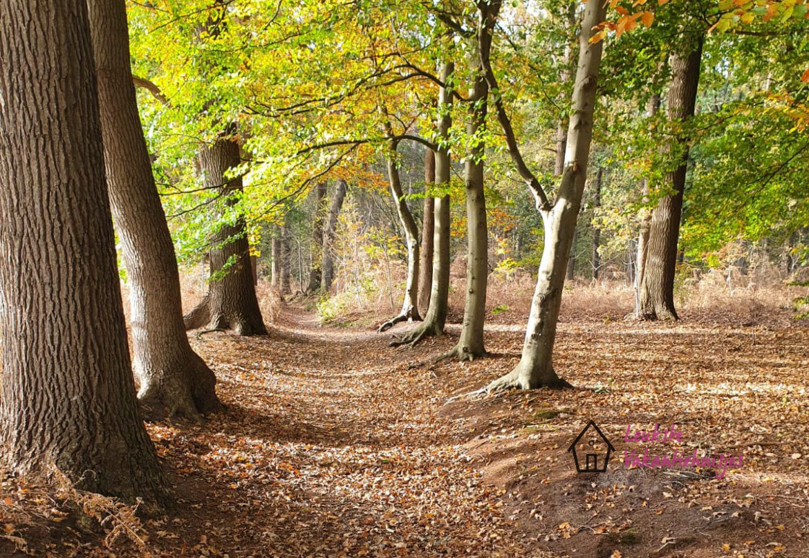 Natuur in omgeving Gramsbergen